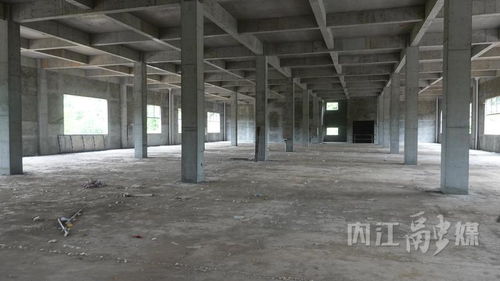 四川新奇味食品農(nóng)產(chǎn)品加工項(xiàng)目 強(qiáng)產(chǎn)業(yè)促振興，預(yù)計(jì)2026年春節(jié)前投產(chǎn)