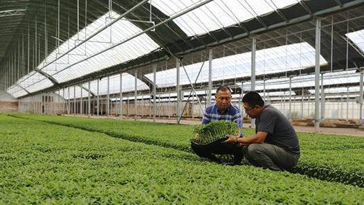 漯河首創(chuàng)農(nóng)民職稱評審 初級農(nóng)產(chǎn)品獲認(rèn)證新通道